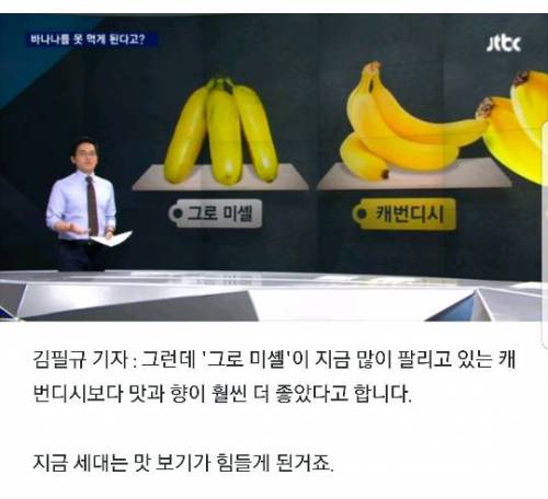 검정고무신에서 바나나먹고 눈물흘릴만 했음.