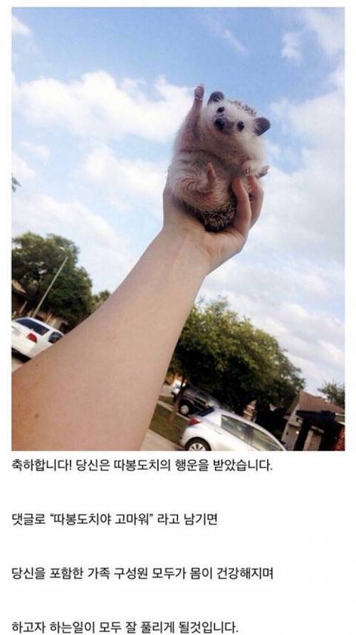 모든일 잘 풀리는방법.jpg