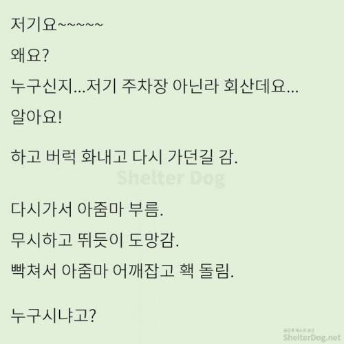 [스압] 무단주차 아지매 사이다 썰
