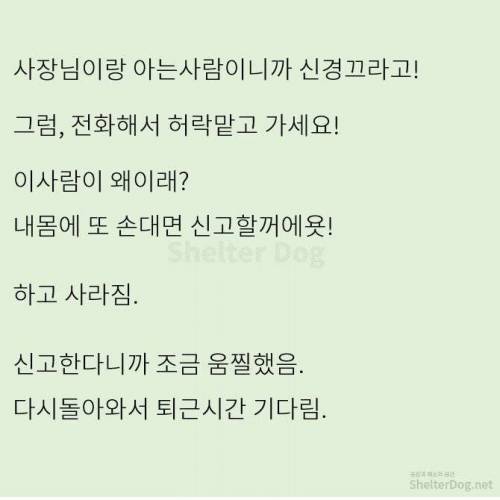 [스압] 무단주차 아지매 사이다 썰