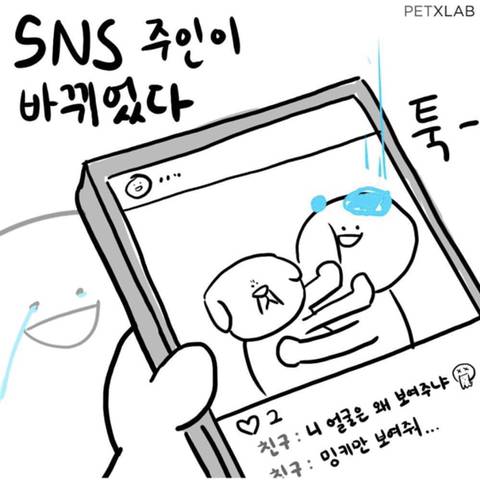 강아지 키우기 전과 후.jpg