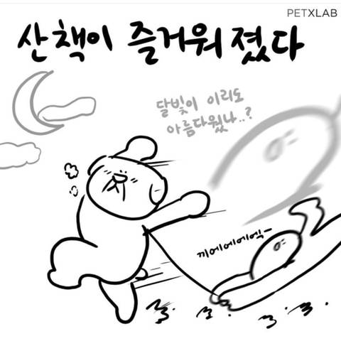 강아지 키우기 전과 후.jpg