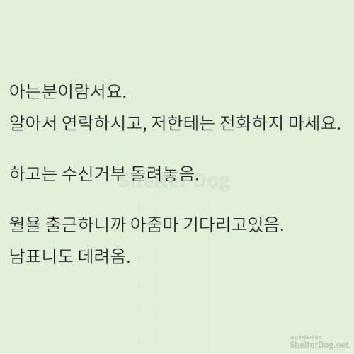 [스압] 무단주차 아지매 사이다 썰