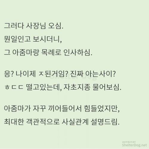 [스압] 무단주차 아지매 사이다 썰