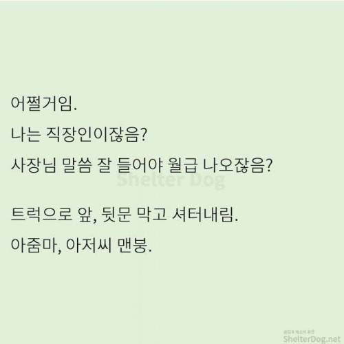 [스압] 무단주차 아지매 사이다 썰