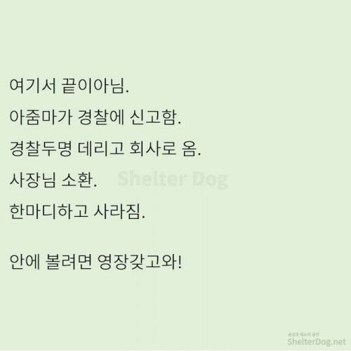 [스압] 무단주차 아지매 사이다 썰