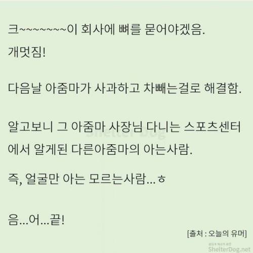 [스압] 무단주차 아지매 사이다 썰