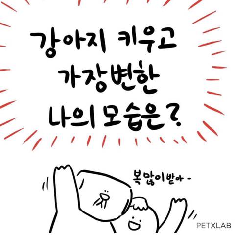 강아지 키우기 전과 후.jpg