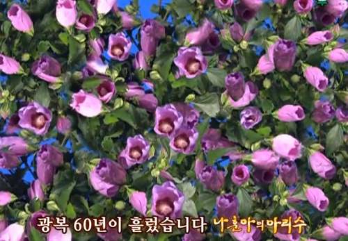 [스압] 14년전 나훈아 콘서트 수준.jpg