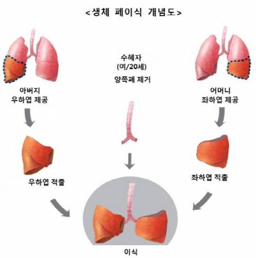 의느님 의느님 하는데는 이유가 있음 .jpg