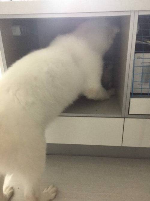 일방적 피해자.jpg