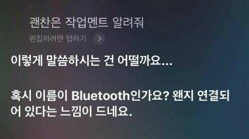 시리가 추천하는 작업 멘트.jpg