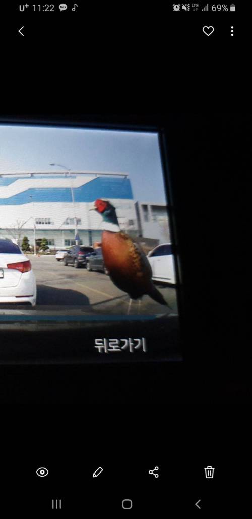 본넷긁은 범인을 찾은 차갤러.jpg