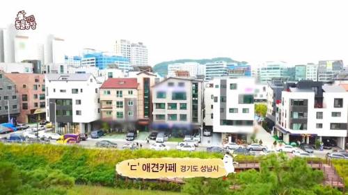 [스압] 사람처럼 자는 댕댕이.jpg