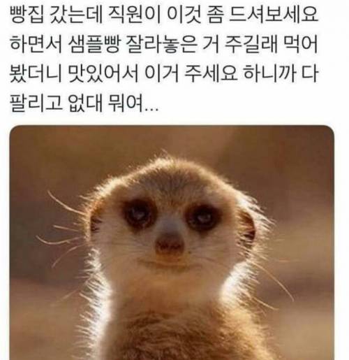 유머 모음.jpg