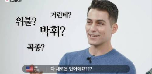[스압] 한국인만 읽을 수 있는 후기를 외국인에게 보여줬다