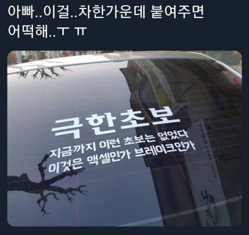 초보운전 딸을 위해.jpg