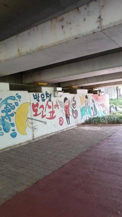 인천시 박유천 벚꽃길 근황.jpg