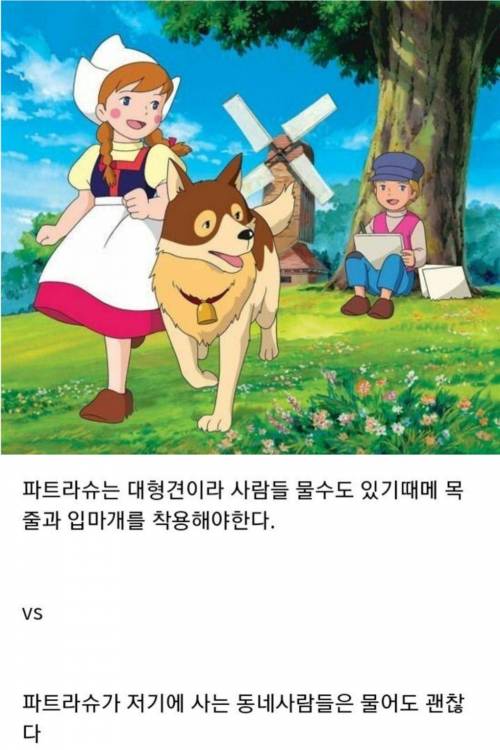 플란다스의 개 난제.jpg