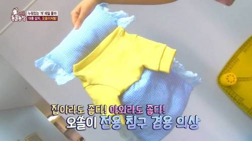 [스압] 사람처럼 자는 댕댕이.jpg