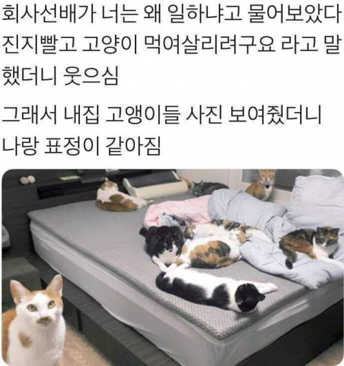 한 직장인의 근무이유.jpg