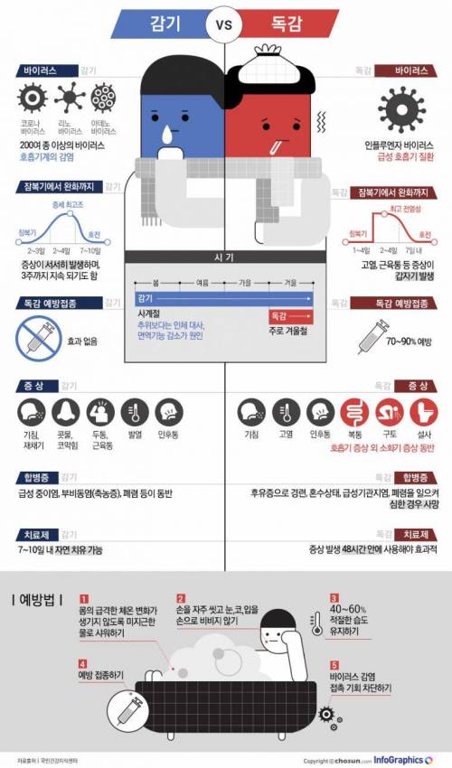 감기 vs 독감.jpg