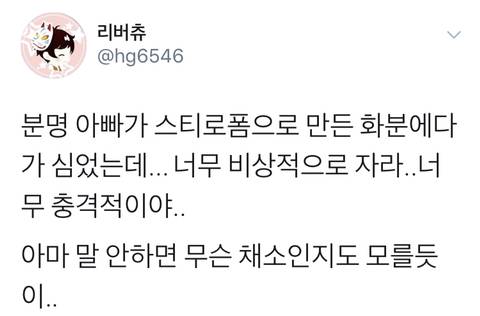 잭과 콩나무 실사화