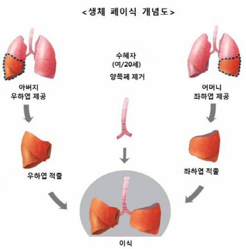 의느님 의느님 하는건 다 이유가 있음.JPG