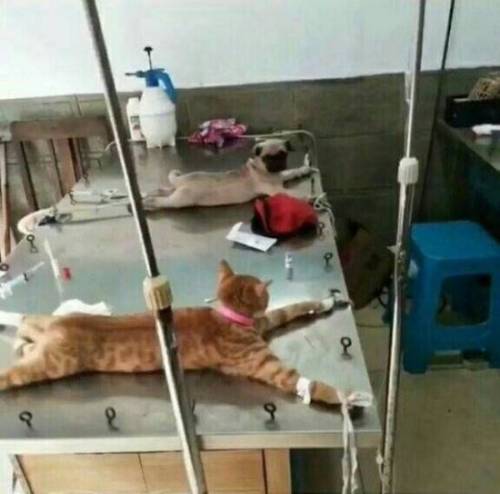 너 여기 왜왔어?.jpg