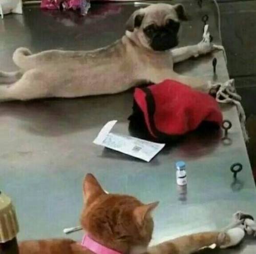 너 여기 왜왔어?.jpg