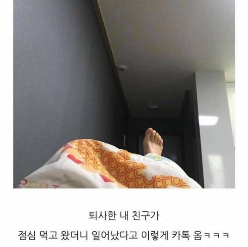 퇴사한 내 친구가 부러워