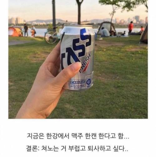 퇴사한 내 친구가 부러워