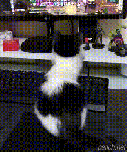 섹시한 포즈의 기지개.gif