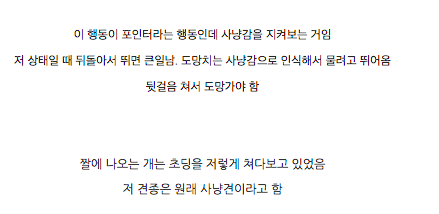 개가 이런 표정을 지으면 무조건 피해야 함