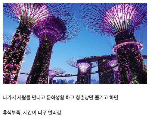 직장인들의 주말 딜레마.jpg