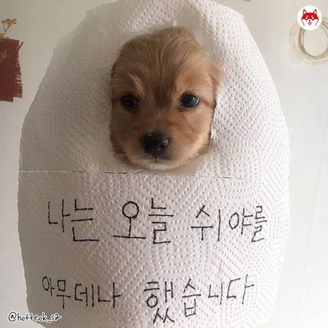 아무데서나 쉬야하기 jpg.