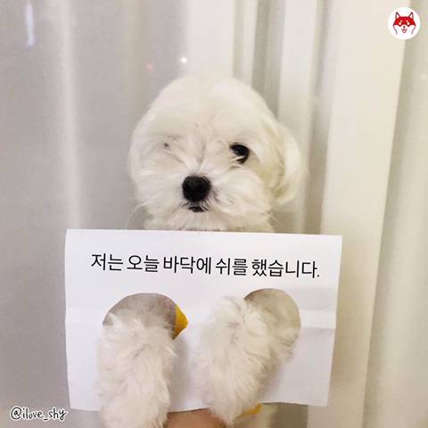 아무데서나 쉬야하기 jpg.