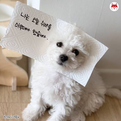 아무데서나 쉬야하기 jpg.