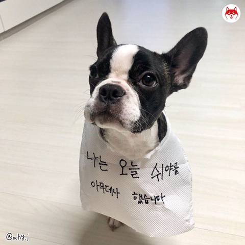 아무데서나 쉬야하기 jpg.