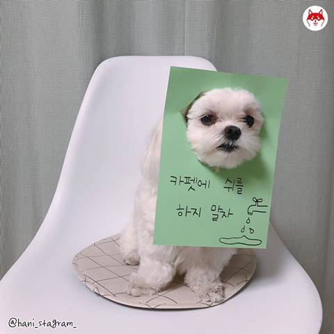 아무데서나 쉬야하기 jpg.