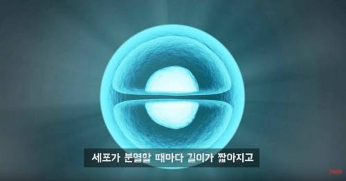 영원히 죽지 않는 바다생물.jpg