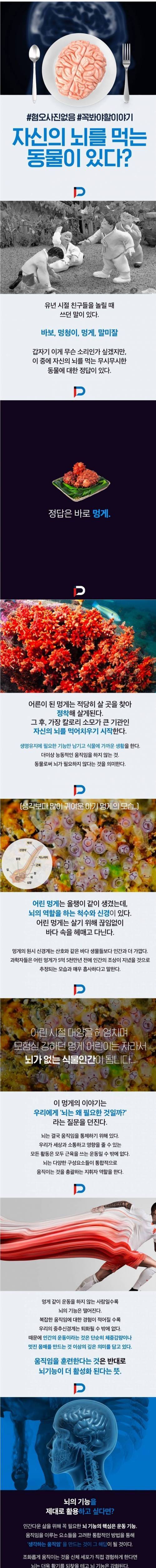 뇌를 먹는 동물이 있다?.jpg