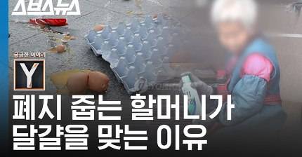 페인트 할머니 달걀 테러 사건 그 이후