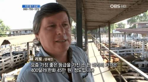 아르헨티나 5천원짜리 스테이크.jpg