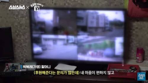 페인트 할머니 달걀 테러 사건 그 이후