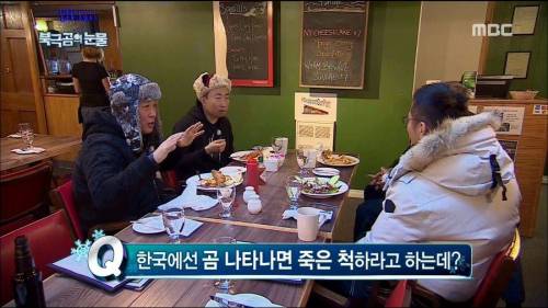북금곰이 나타났을때 대처법.jpg