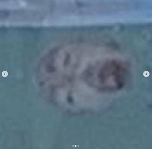 유병재 인 줄 알았는 데.jpg