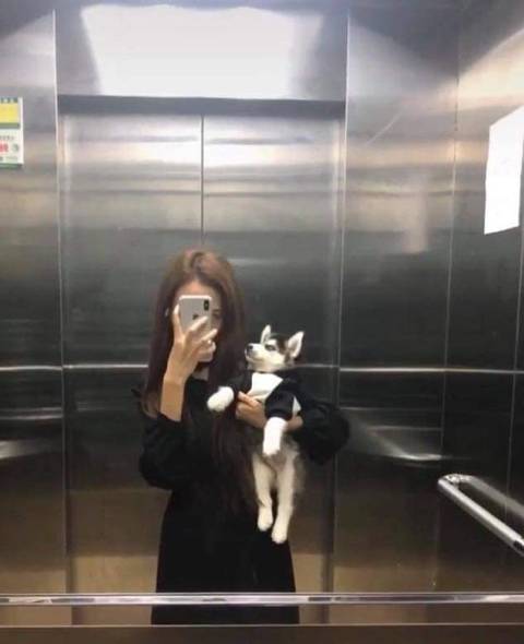 개주인도 같이 강해짐.jpg