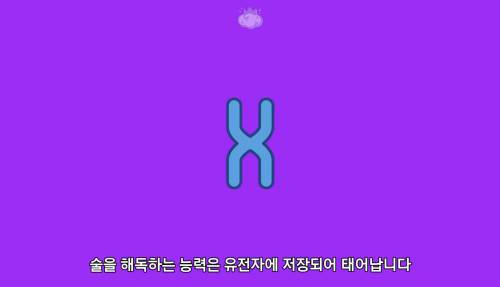 술 못 마시는 사람들에 대해.araboza.jpg