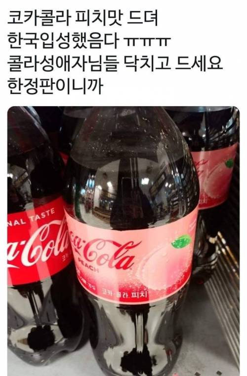 한정판 코카콜라 피치맛.jpg